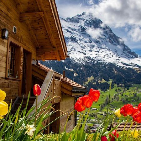 Chalet Caramelle Гринделвалд Екстериор снимка