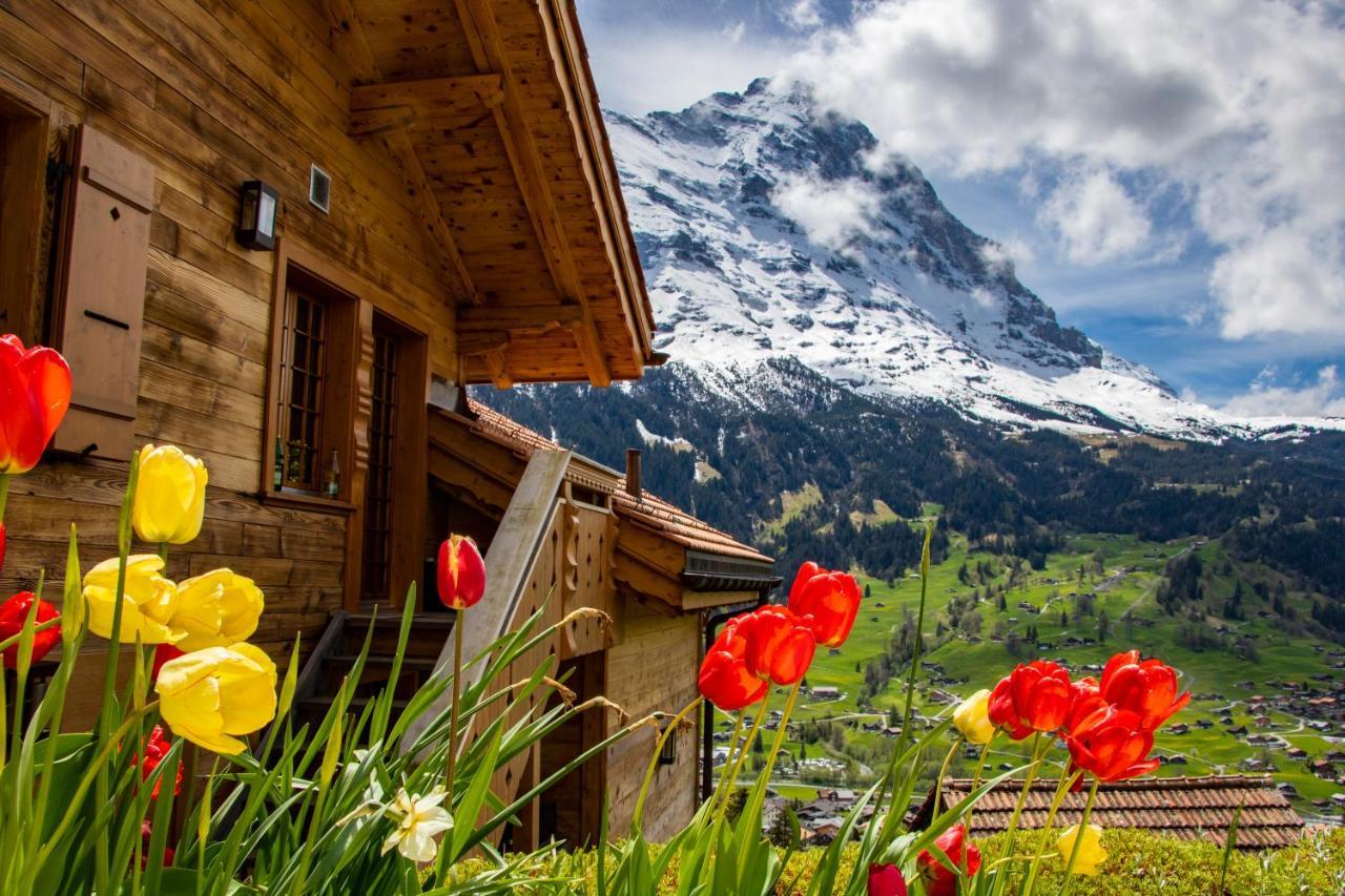 Chalet Caramelle Гринделвалд Екстериор снимка