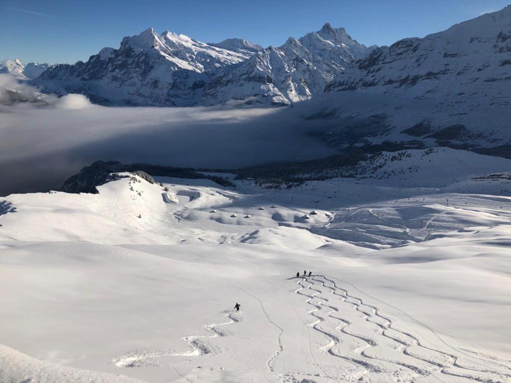 Chalet Caramelle Гринделвалд Екстериор снимка