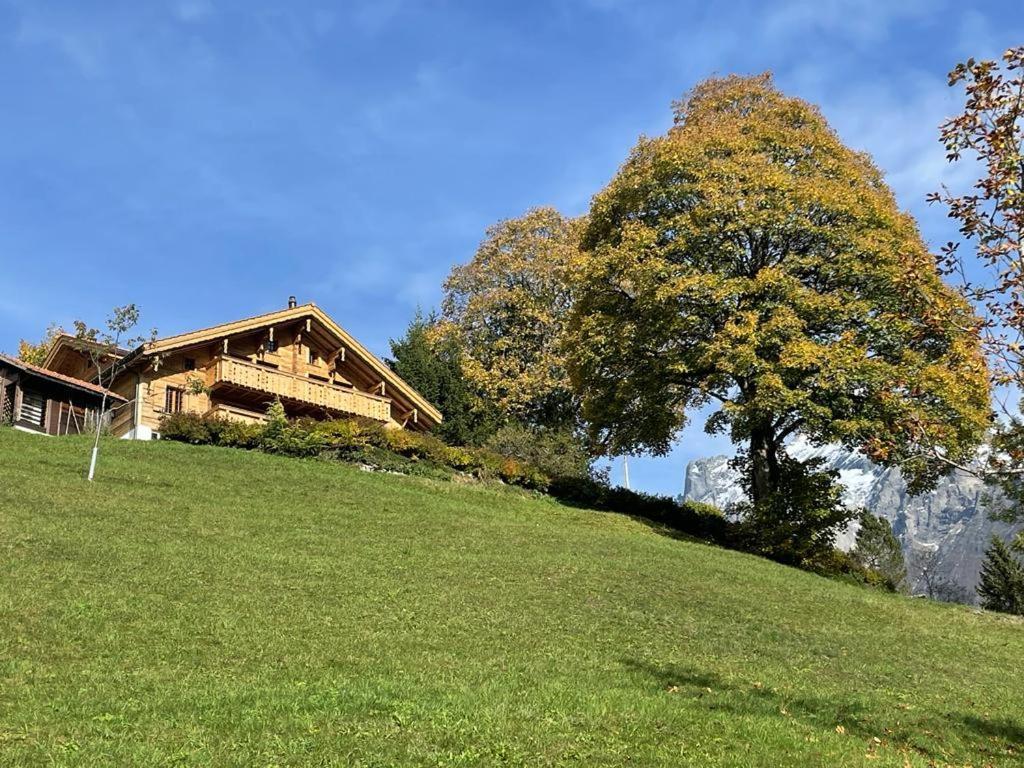 Chalet Caramelle Гринделвалд Екстериор снимка